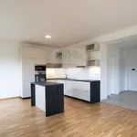 Rent 3 bedroom apartment of 100 m² in Praha 4 - Krč