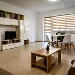 Rent 1 bedroom house of 34 m² in Sanpetru