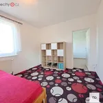 Rent 1 bedroom house of 97 m² in Stará Lysá