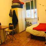 Rent 1 bedroom apartment of 30 m² in Roma