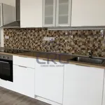 Rent 4 bedroom apartment of 111 m² in Brno