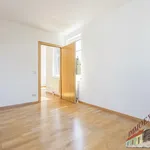 Rent 3 bedroom apartment of 65 m² in Vienna