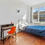 Rent 1 bedroom apartment in New York