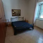 Rent 4 bedroom apartment of 110 m² in Bari