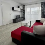 Rent 2 bedroom apartment of 52 m² in Brasov