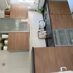 Rent 1 bedroom apartment of 30 m² in Dresden