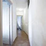 Affitto 6 camera casa di 384 m² in Arzachena