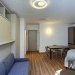 Rent 1 bedroom apartment of 39 m² in Novara