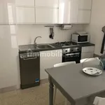 Penthouse viale Nazario Sauro, Abissinia, Riccione