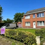 Rent 1 bedroom apartment of 185 m² in Geel