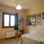 Rent 3 bedroom house of 80 m² in Montalto di Castro