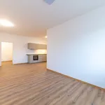 Pronajměte si 2 ložnic/e byt o rozloze 55 m² v vizovice