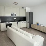 Rent 2 bedroom apartment in Praha 4