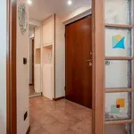 Rent 2 bedroom house of 60 m² in Milan