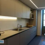 Rent 2 bedroom apartment of 60 m² in Turin