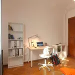 Rent a room in padua