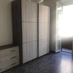 Rent 1 bedroom apartment of 40 m² in Rome