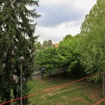 Rent 2 bedroom apartment in Milan