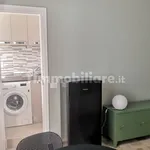 Rent 1 bedroom apartment of 28 m² in Milan