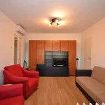 Rent 2 bedroom apartment of 47 m² in Timișoara