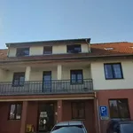 Rent 1 bedroom apartment in Beroun