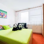 Rent 3 bedroom apartment in České Budějovice