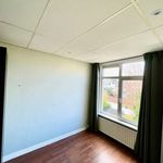Rent a room of 22 m² in Den Haag