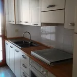 Rent 3 bedroom apartment of 55 m² in Follonica