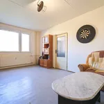 Rent 1 bedroom apartment in Plzeň