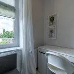 Rent a room of 6 m² in Ołbińska