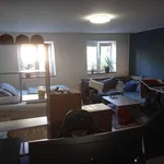 Rent 1 bedroom apartment in Olomouc