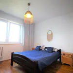 Rent 2 bedroom apartment of 60 m² in szczecin