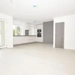 Rent 2 bedroom flat in Richmond