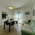 Rent 3 bedroom apartment of 60 m² in Pisa