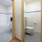 Studio o rozloze 45 m² v Prague