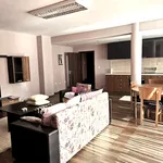 Rent 3 bedroom apartment of 150 m² in Каменица 1