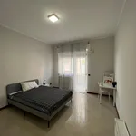 Rent 4 bedroom apartment in Bari