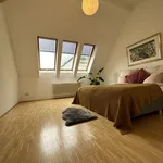 Rent 2 bedroom apartment of 1076 m² in Berlin