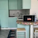 Rent 1 bedroom house of 70 m² in Turin