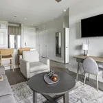 Rent 1 bedroom apartment in Katy