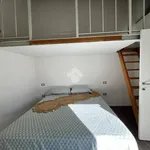 Rent 2 bedroom apartment of 50 m² in Perugia