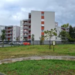 Appartement de 49 m² avec 2 chambre(s) en location à Brive