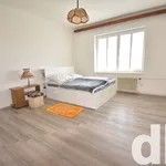 Rent 2 bedroom apartment of 70 m² in Capital City of Prague