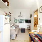 Rent 3 bedroom apartment of 60 m² in Turin