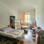 Rent 2 bedroom apartment of 45 m² in Torino