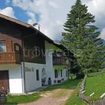 Rent 2 bedroom apartment of 49 m² in Sarentino