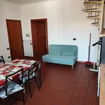 Rent 4 bedroom apartment of 88 m² in Forlì