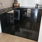 Rent 2 bedroom apartment of 63 m² in Dresden