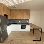 Rent 1 bedroom apartment in Olomouc