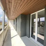 Rent 4 bedroom apartment in Dulliken